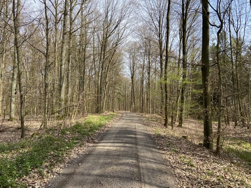 Oberhaid Blockhütte (O3)
