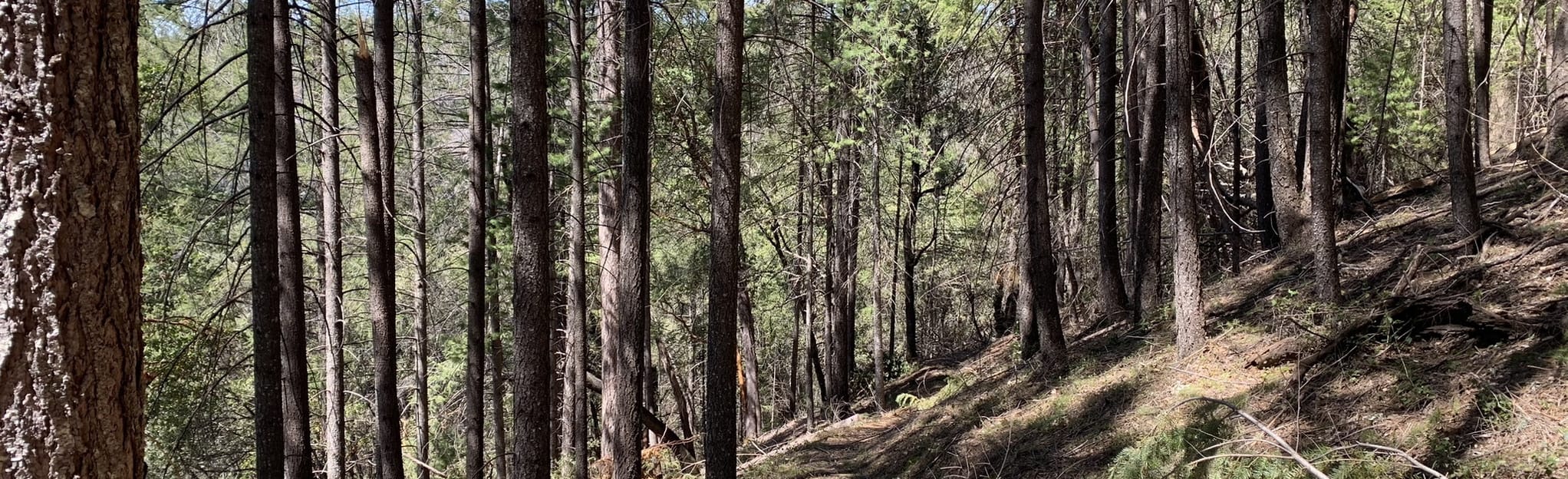 AllTrails | Otter Creek Trail: 22 Reviews, Map - California