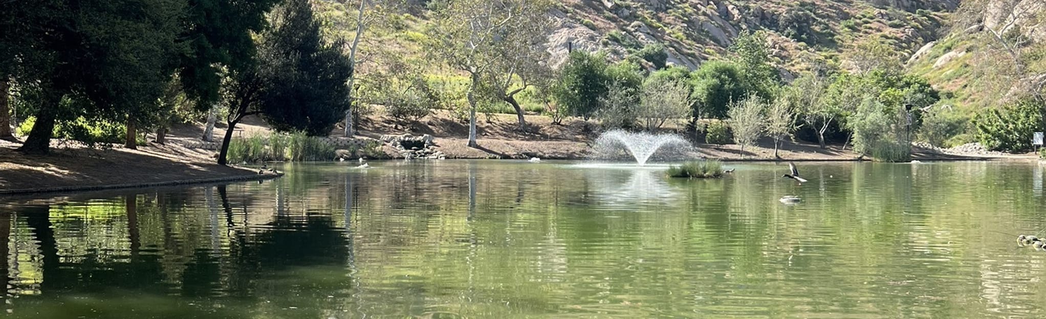 Mary Vagle Nature Center Trail 176 Reviews, Map California AllTrails