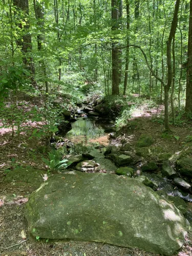 Best Hikes and Trails in Lost Corner Preserve | AllTrails