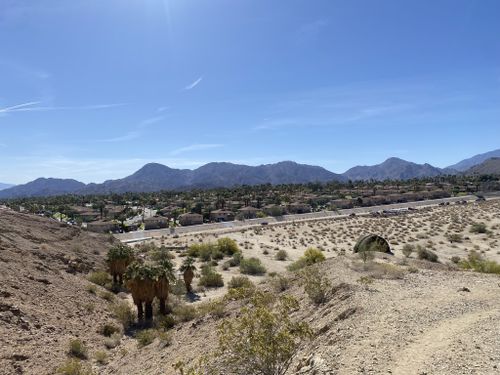 2023 Best Short Trails in Palm Desert | AllTrails