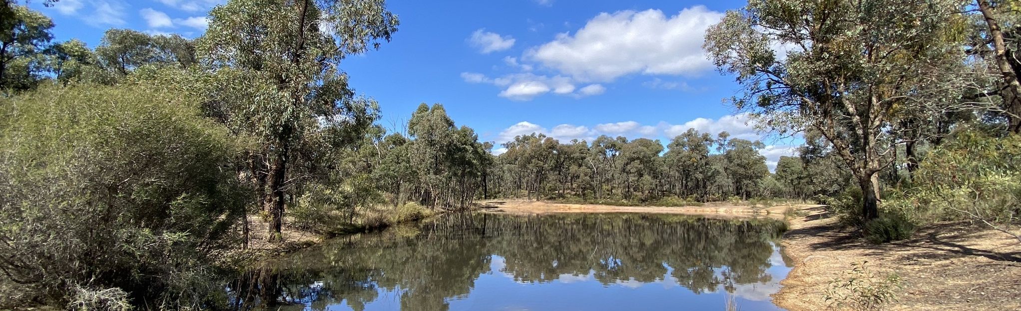 alltrails-bendigo-bushland-trails-circuit-6-reviews-map-victoria