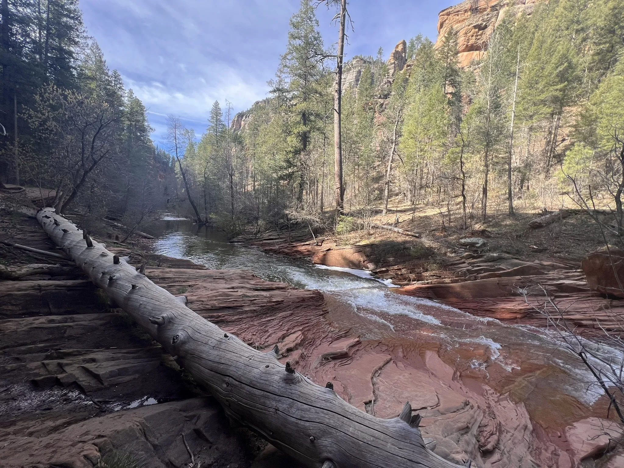 West Fork of Oak Creek Trail #108