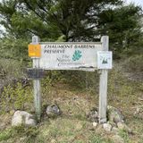 Chaumont Barrens Preserve, New York - 98 Reviews, Map