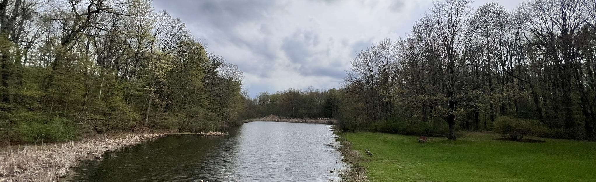 Colonie Town Park Loop, New York - 102 Reviews, Map | AllTrails