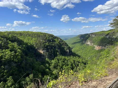 cloudland canyon mountain bike trails