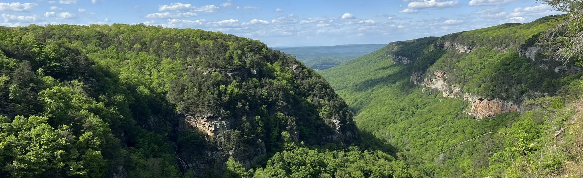 Cloudland Canyon West Rim Loop - EyJidWNrZXQiOiJhc3NldHMuYWxsdHJhaWxzLmNvbSIsImtleSI6InVwbG9hZHMvcGhvdG8vaW1hZ2UvNTg2NjM4NDIvM2VhNTkwODEzYTk1ZDBkYmU5YjlhZGJlMThlMDhkMGYuanBnIiwiZWRpdHMiOnsidG9Gb3JtYXQiOiJqcGVnIiwicmVzaXplIjp7IndpZHRoIjoyMDQ0LCJoZWlnaHQiOjYyNCwiZml0IjoiY292ZXIifSwicm90YXRlIjpudWxsLCJqcGVnIjp7InRyZWxsaXNRdWFudGlzYXRpb24iOnRydWUsIm92ZXJzaG9vdERlcmluZ2luZyI6dHJ1ZSwib3B0aW1pc2VTY2FucyI6dHJ1ZSwicXVhbnRpc2F0aW9uVGFibGUiOjN9fX0=