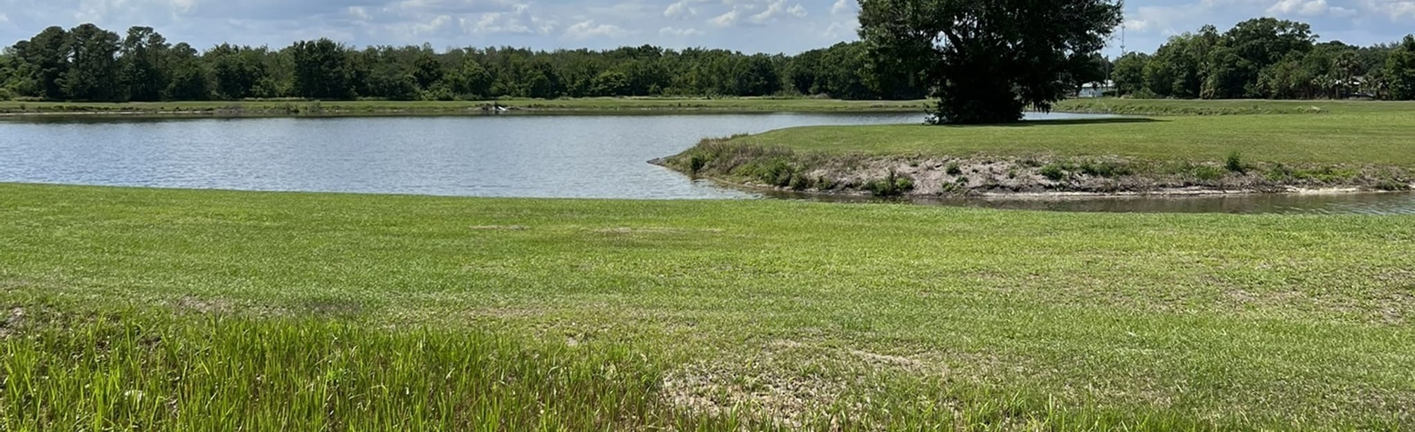 Goldsboro Pedestrian and Bike Trail 3 Reviews, Map Florida AllTrails