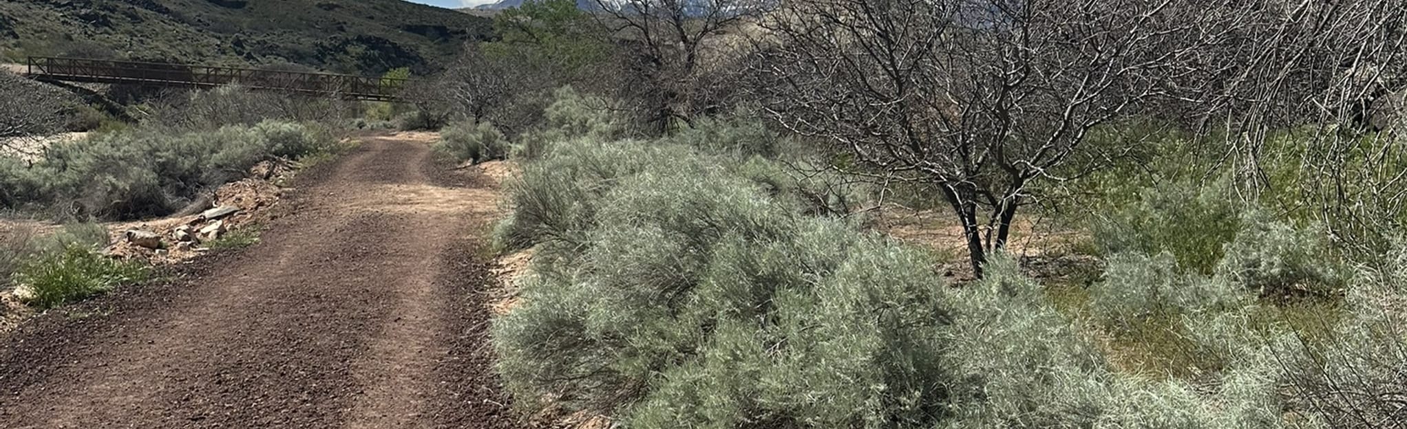 Confluence Trail, Ash Creek Loop, and La Verkin Creek Trail 171 foto's