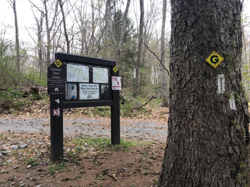 Best Hikes and Trails in Beckett Hill State Park Reserve | AllTrails