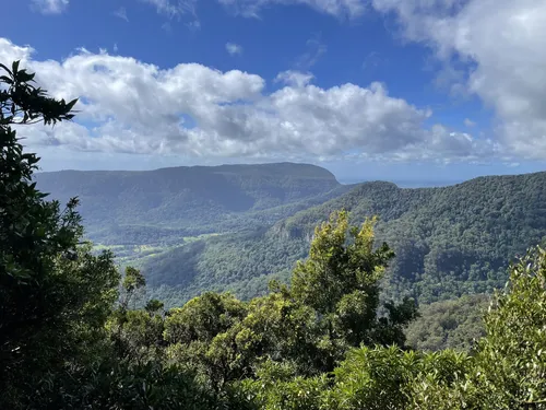 Coomera circuit, Lamington National Park, Parks and forests