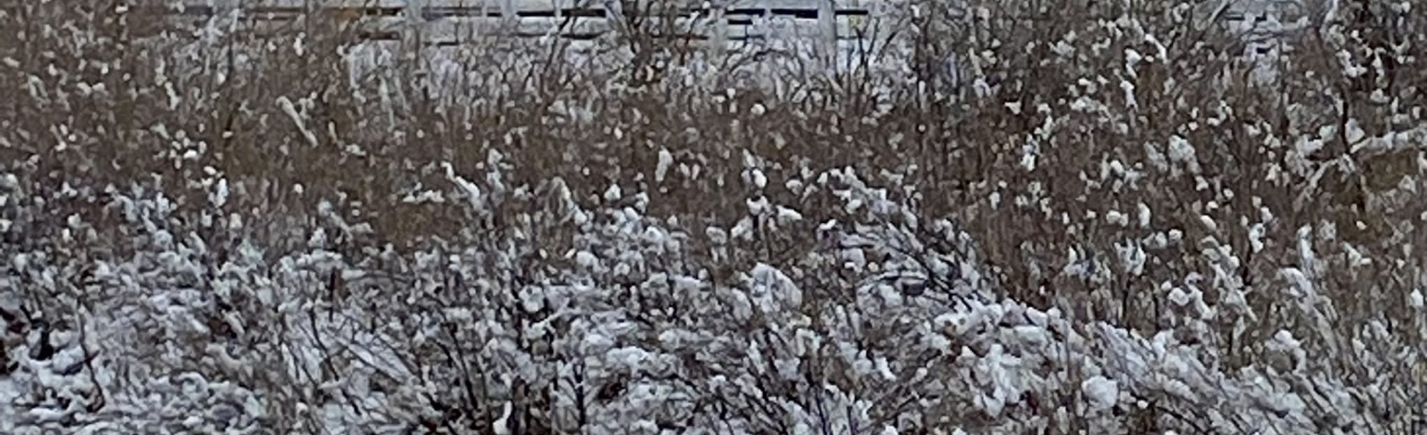 Lee Creek Trail, Alberta, Canada 7 Reviews, Map AllTrails