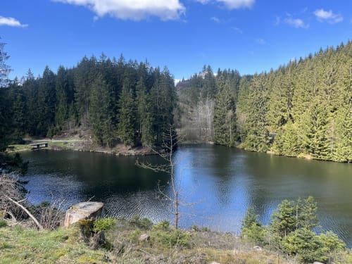 Aus dem Spiegeltal zum Bocksberg