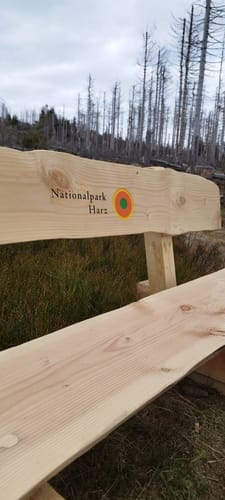 Achtermannshöhe ab Königskrug