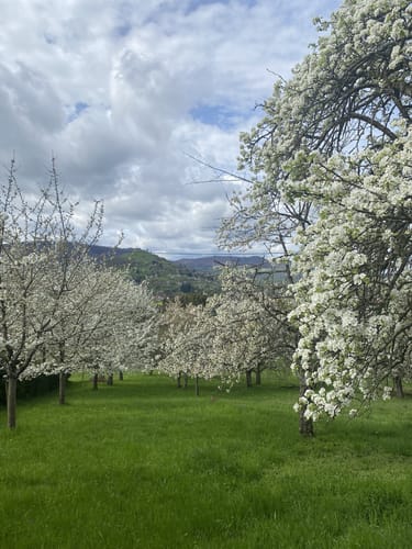 Weilheim Rundweg 13