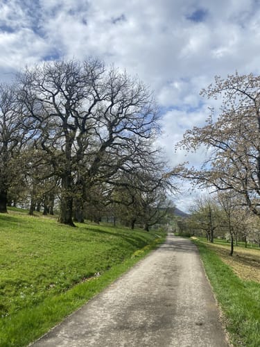 Weilheim Rundweg 13