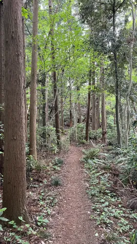 Hiking Trails - Kamakura Travel
