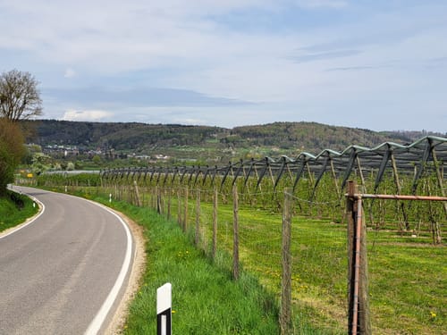 Überlinger See