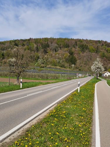 Überlinger See
