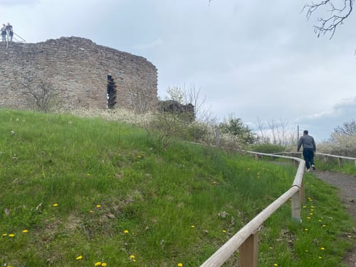 Vom Cappeler Friedhof zur Burgruine Frauenberg
