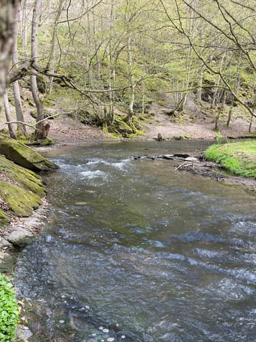 Oberes Baybachtal (Traumschleife)