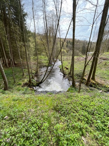 Oberes Baybachtal (Traumschleife)