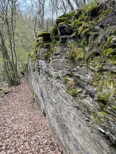 Oberes Baybachtal (Traumschleife)