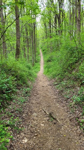 Best Hikes and Trails in T Howard - EyJidWNrZXQiOiJhc3NldHMuYWxsdHJhaWxzLmNvbSIsImtleSI6InVwbG9hZHMvcGhvdG8vaW1hZ2UvNTg2OTk3MzcvMGU4MzNhYjY2MTVmZDc2Mzc0NjQ1ZWU4ZWYzYjYzYzEuanBnIiwiZWRpdHMiOnsidG9Gb3JtYXQiOiJqcGVnIiwicmVzaXplIjp7IndpZHRoIjo1MDAsImhlaWdodCI6NTAwLCJmaXQiOiJpbnNpZGUifSwicm90YXRlIjpudWxsLCJqcGVnIjp7InRyZWxsaXNRdWFudGlzYXRpb24iOnRydWUsIm92ZXJzaG9vdERlcmluZ2luZyI6dHJ1ZSwib3B0aW1pc2VTY2FucyI6dHJ1ZSwicXVhbnRpc2F0aW9uVGFibGUiOjN9fX0=
