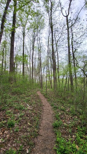 Best Hikes and Trails in T Howard - EyJidWNrZXQiOiJhc3NldHMuYWxsdHJhaWxzLmNvbSIsImtleSI6InVwbG9hZHMvcGhvdG8vaW1hZ2UvNTg2OTk4NzkvNzc0YWJlMzcxNDc3ZDBiNjA4ZThkZmVmZmExYjlkZmYuanBnIiwiZWRpdHMiOnsidG9Gb3JtYXQiOiJqcGVnIiwicmVzaXplIjp7IndpZHRoIjo1MDAsImhlaWdodCI6NTAwLCJmaXQiOiJpbnNpZGUifSwicm90YXRlIjpudWxsLCJqcGVnIjp7InRyZWxsaXNRdWFudGlzYXRpb24iOnRydWUsIm92ZXJzaG9vdERlcmluZ2luZyI6dHJ1ZSwib3B0aW1pc2VTY2FucyI6dHJ1ZSwicXVhbnRpc2F0aW9uVGFibGUiOjN9fX0=