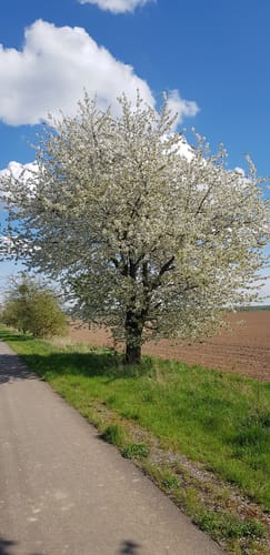 Kleckewitz-Retzau Rundweg