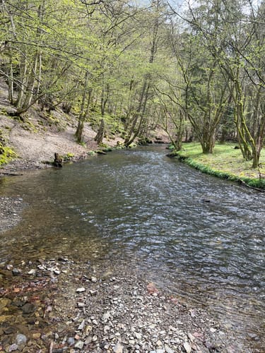 Oberes Baybachtal (Traumschleife)