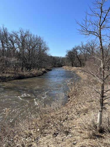 Best Hikes and Trails in Buffalo River State Park | AllTrails