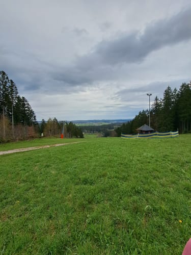Tannenriesen (Premiumwanderweg)