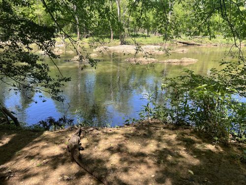 Best Hikes and Trails in White Pines Nature Preserve | AllTrails