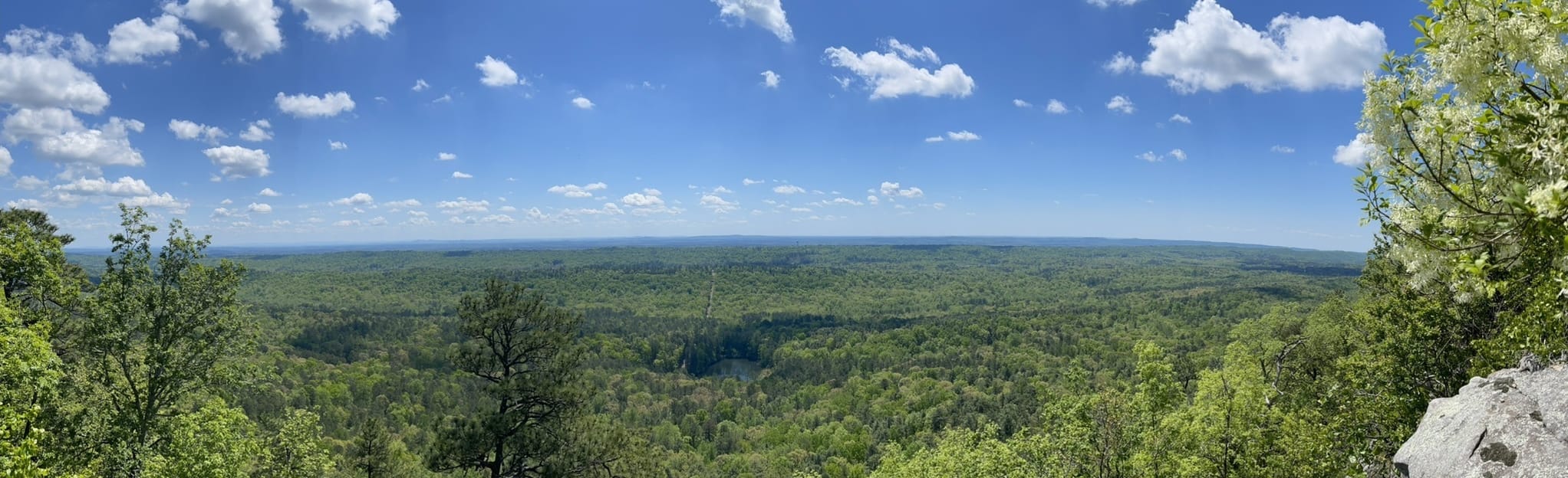 King's Chair Overlook via Blue Trail 98 Reviews, Map Alabama AllTrails
