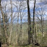 Appalachian Trail: Hogpen Gap To Unicoi Gap, Georgia - 451 Reviews, Map ...