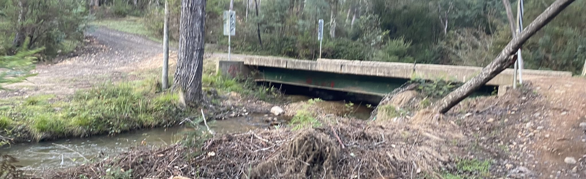 Nine Mile Creek MTB Homeward Bound, Gold Rush, Wallaby Climb, Victoria
