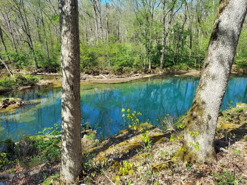 Hidden Nature: 5 Scenic Hiking Trails in West Plains – Missouri