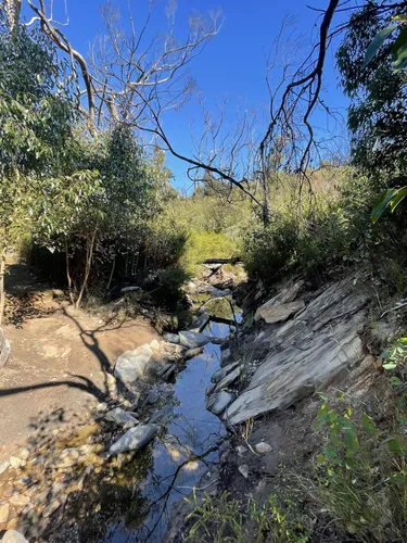 Best Hikes and Trails in Western River Wilderness Protection Area