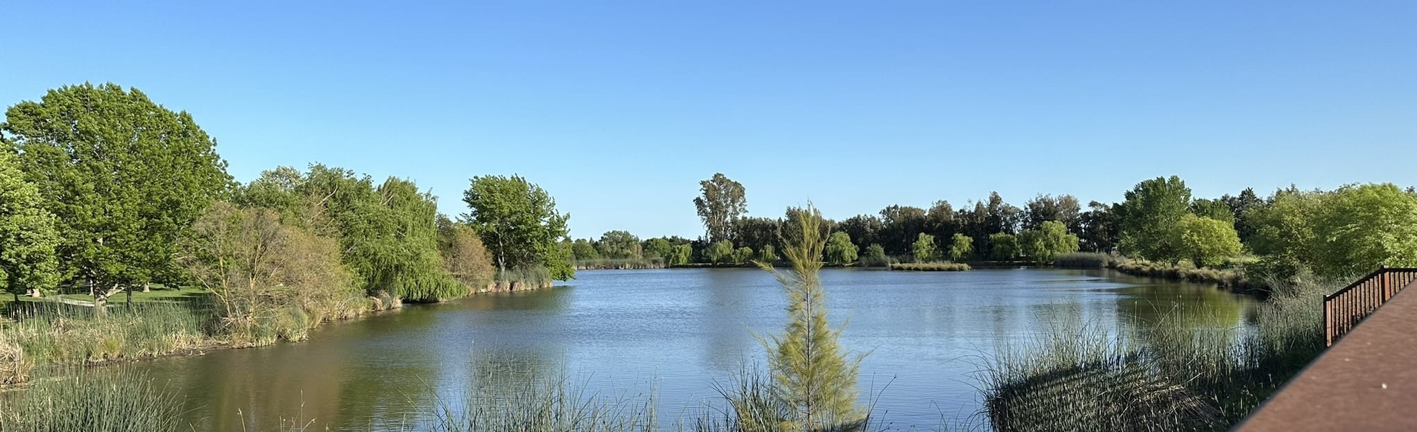 Elk Grove Community Trail, California 331 Reviews, Map AllTrails