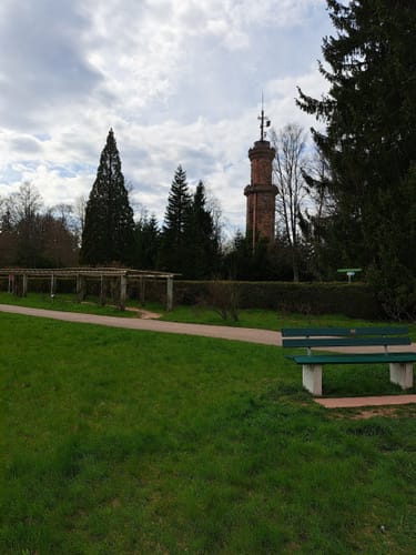 Tannenriesen (Premiumwanderweg)
