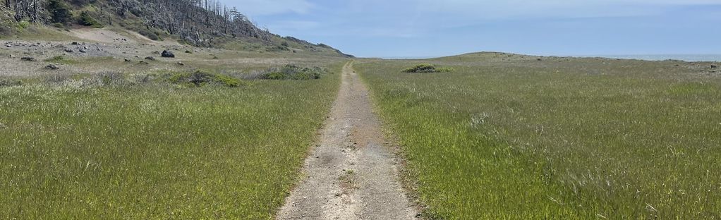 Nebraska Crossing on Instagram: The two-in-one Trailhead Dog Bed