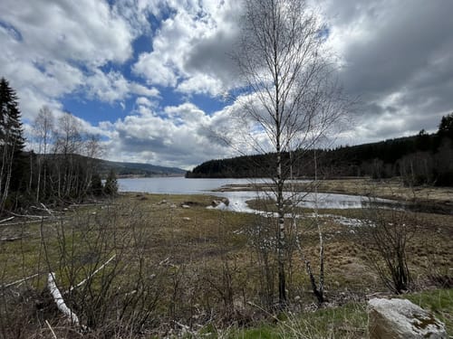 Entlang des Schluchsee von Unteraha nach Unterkrummen