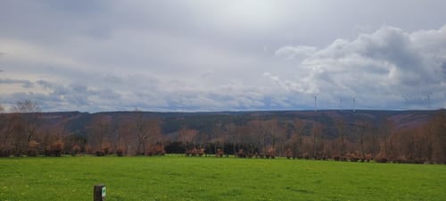Püngelbach