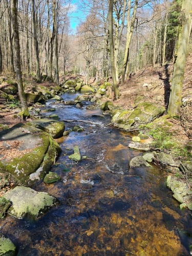 Heinrich-Heine-Weg - Brocken - Ilsenburg