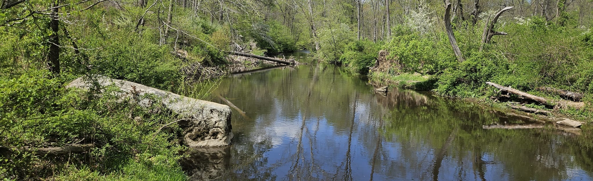 Hunting Hill Loop, Pennsylvania 319 Reviews, Map AllTrails