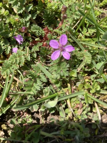 Wanderung am Blaubeurer Osthang