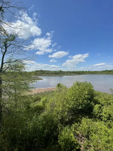 Best Hikes And Trails In Bombay Hook National Wildlife Refuge Alltrails 7270