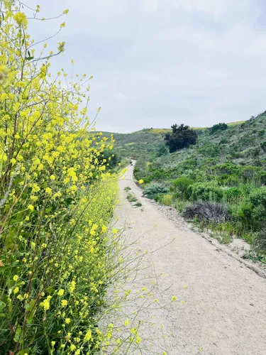 10 Best Trails and Hikes in Oceanside