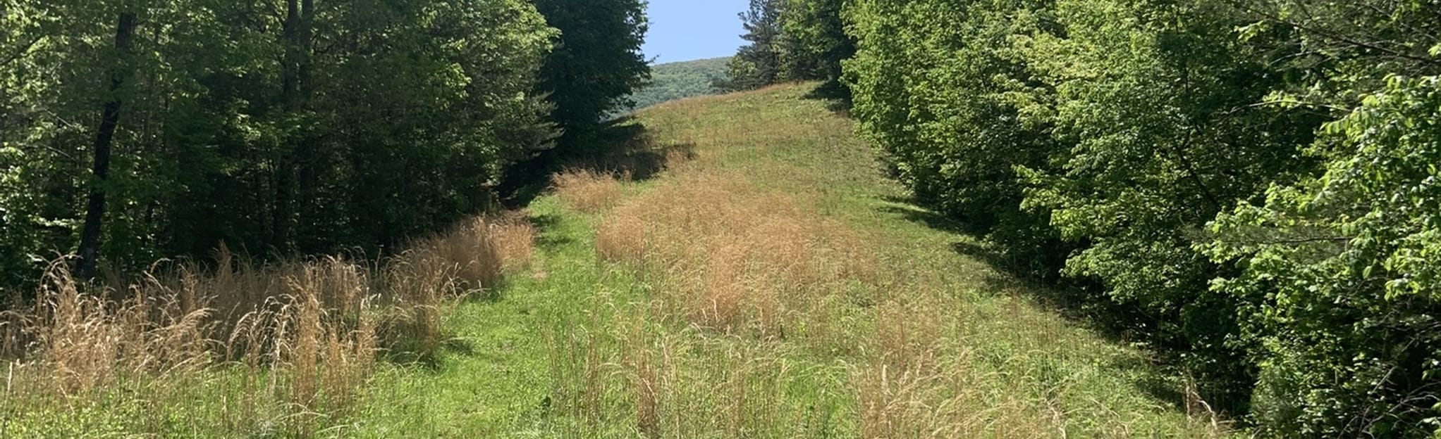 Garland Mountain West Side Loop 132 foto's AllTrails